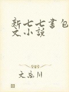 新七七书包网辣文小说