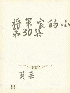 将军家的小娘子第30集