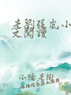 老刘张岚小说全文阅读