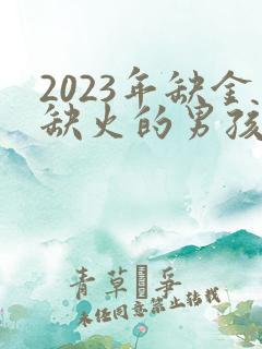 2023年缺金缺火的男孩名字