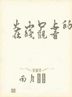 火山口上的两人在线观看