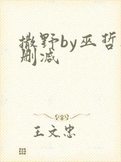 撒野by巫哲无删减