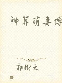 神算萌妻傅太太