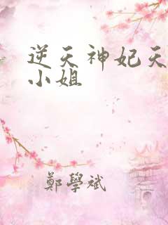 逆天神妃天才二小姐