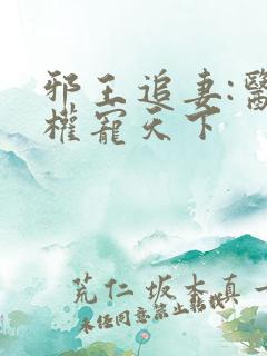 邪王追妻:医妃权宠天下