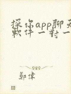 探你app聊天软件一对一