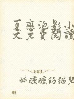 夏恋泡影小说全文免费阅读最新章节