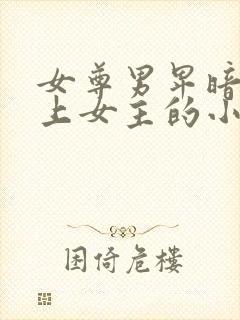 女尊男卑暗卫爱上女主的小说