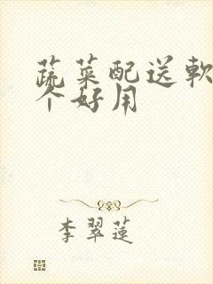 蔬菜配送软件哪个好用