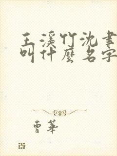 王溪竹沈聿小说叫什么名字