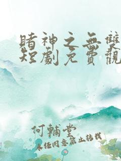 赌神之无双王者短剧免费观看