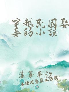 穿越民国娶妻纳妾的小说