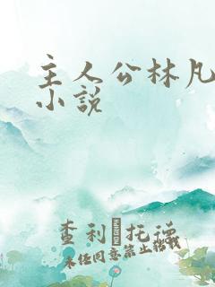 主人公林凡叶惜小说