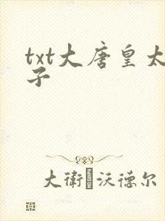 txt大唐皇太子