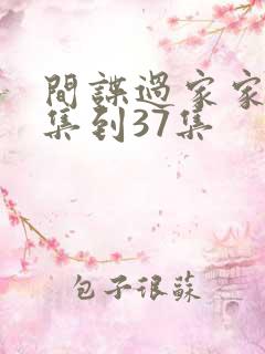 间谍过家家26集到37集