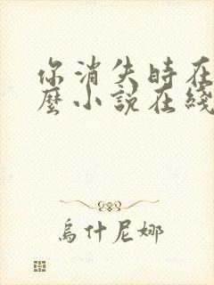 你消失时在想什么小说在线阅读