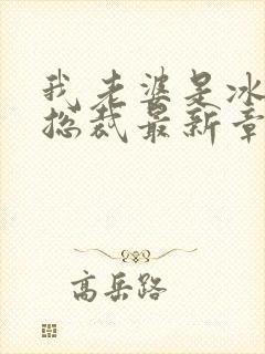 我老婆是冰山女总裁最新章节阅