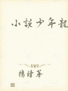 小说少年龙剑飞