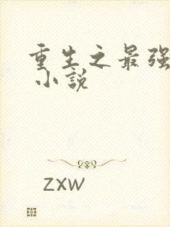 重生之最强高手 小说