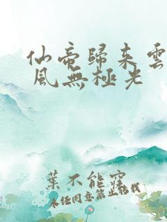 仙帝归来云青岩 风无极光