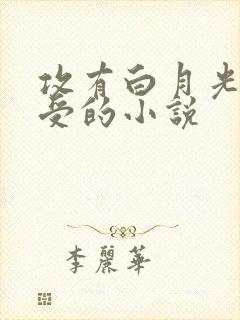 攻有白月光伤害受的小说