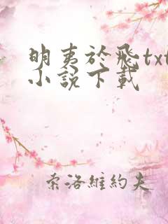 明夷于飞txt小说下载