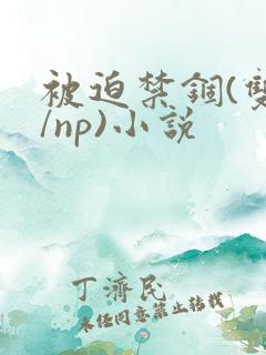 被迫禁锢(双性/np)小说