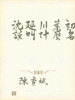 沈延川叶初裳小说叫什么名字