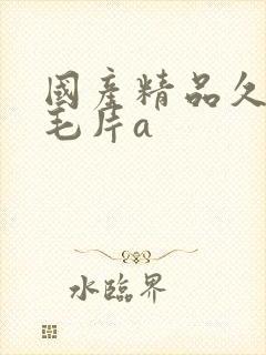 国产精品久久久毛片a