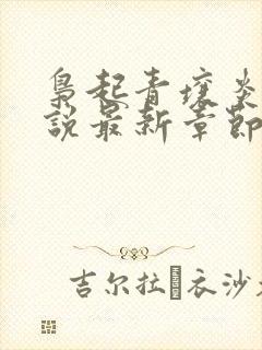 枭起青壤炎拓小说最新章节阅续