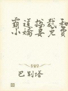 霸道总裁和他的小娇妻免费观看全集