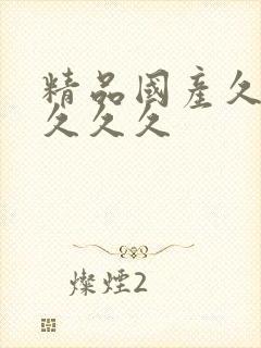 精品国产久久久久久久