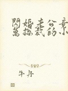 闪婚老公竟是亿万总裁的小说