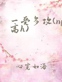 一受多攻(np高h)