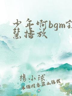 少年啊bgm钰慧播放