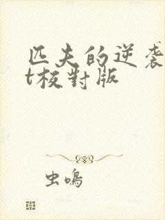 匹夫的逆袭txt校对版