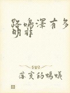 路鸣泽有多爱路明非