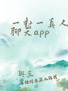 一对一真人视频聊天app