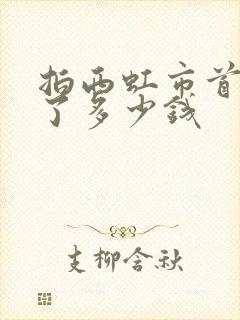 拍西虹市首富花了多少钱