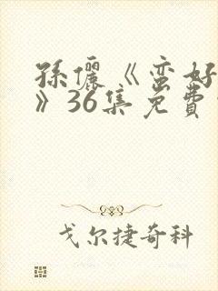 孙俪《蛮好人生》36集免费观看