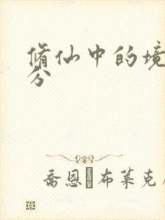 修仙中的境界划分