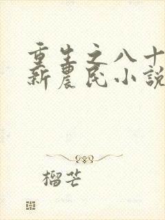 重生之八十年代新农民小说