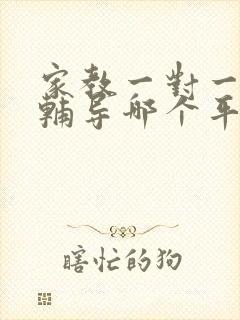 家教一对一上门辅导哪个平台好