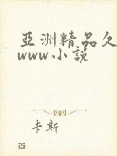 亚洲精品久久久www小说