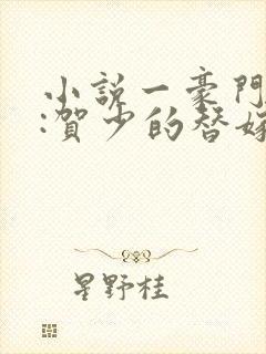 小说一豪门甜宠:贺少的替嫁新娘