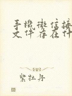 手机微信接收的文件存在什么位置