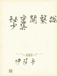 秘密关系总共多少集