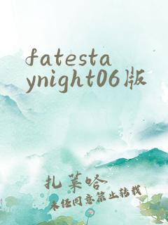 fatestaynight06版