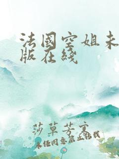 法国空姐未删减版在线