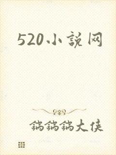 520小说网